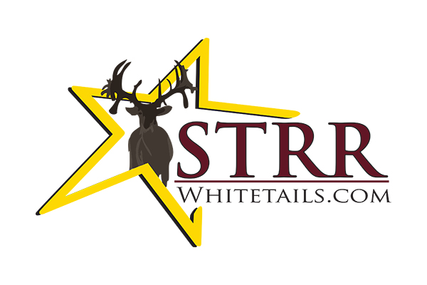 Logo Downloads