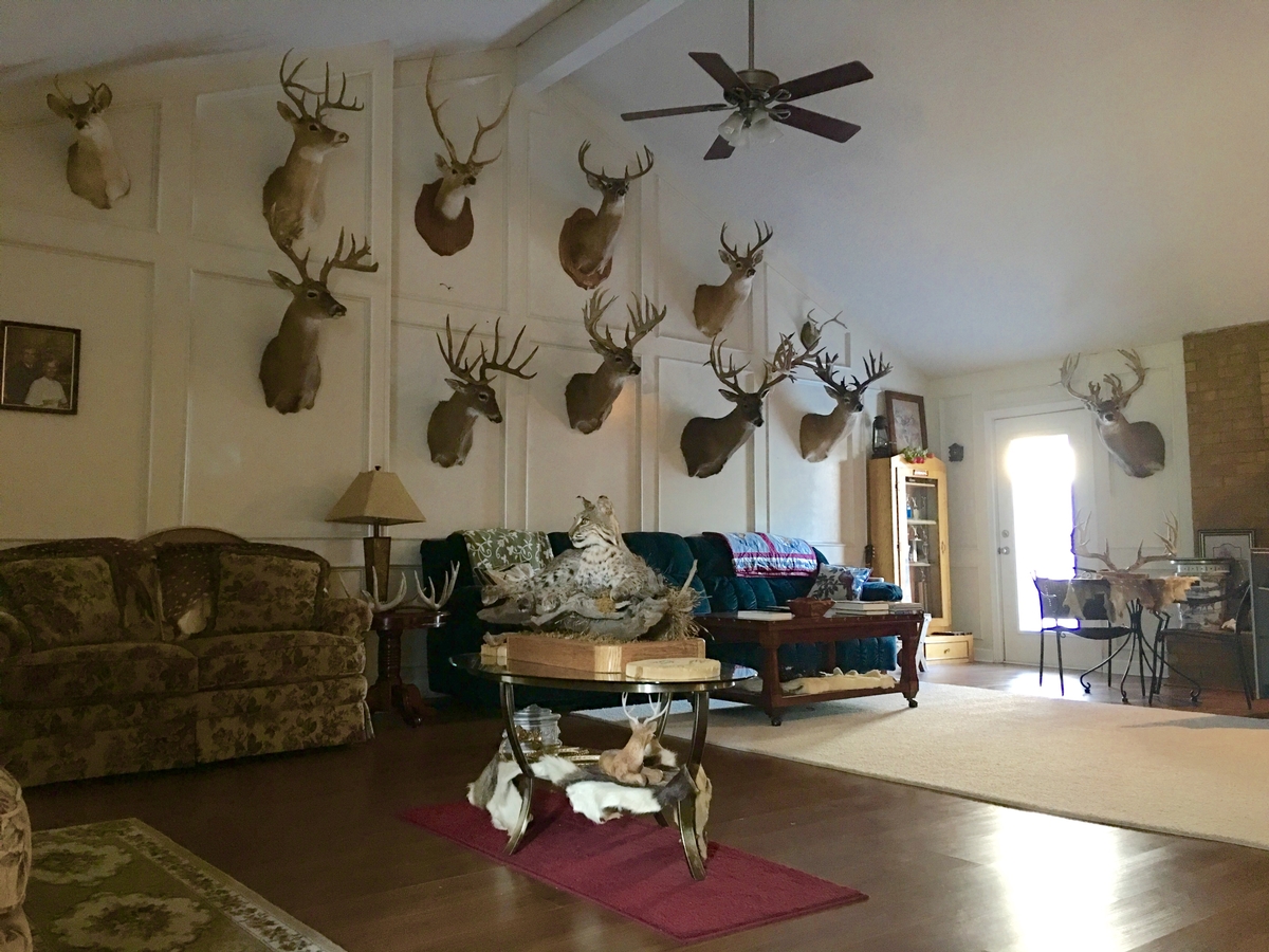 The Lodge